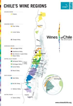 région des vins Chilien