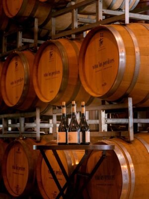 vin argentine, région de Mendoza