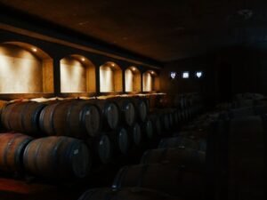 vin la region de rapel valley au chili